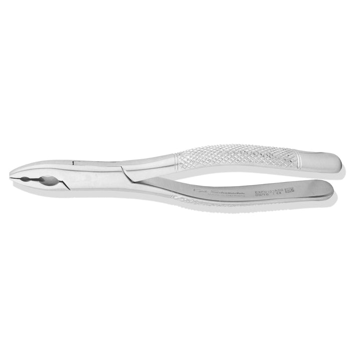 EXF0101ASG - Upper Anterior Forceps #101ASG, Straight, "AS" Pattern - Pedo
